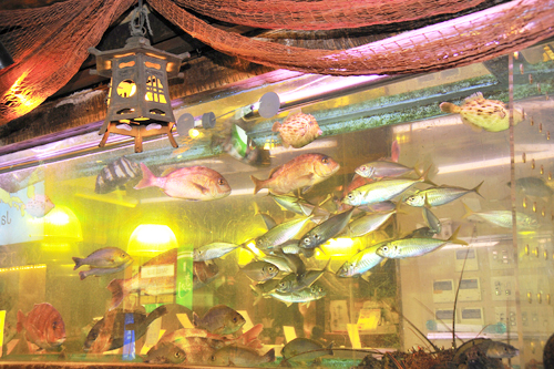 魚河岸 番屋の巨大いけす